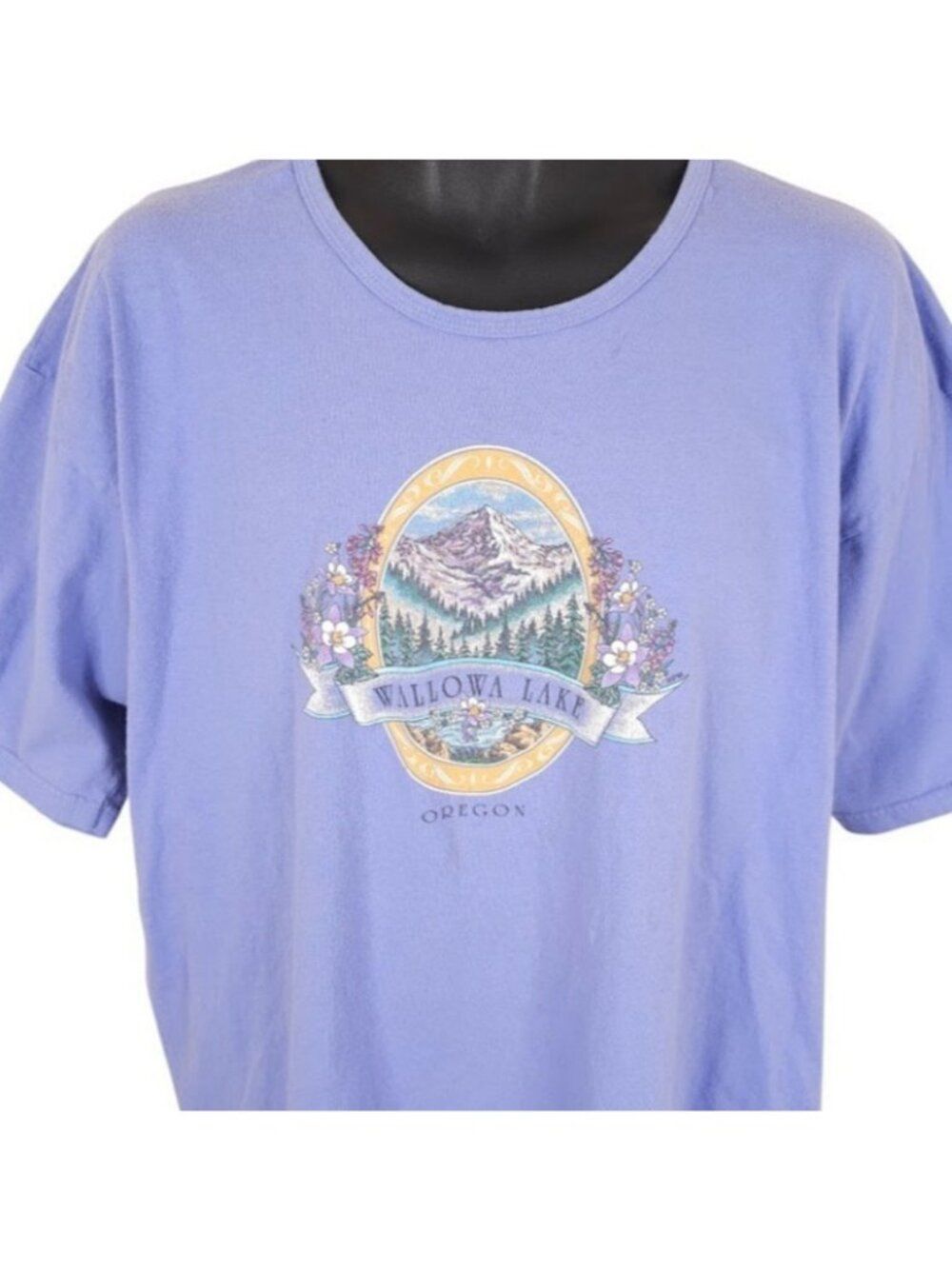 VintageβWallowa Lake State Park T Shirt Womens Size 2X Purple Y2K Travel Tee
